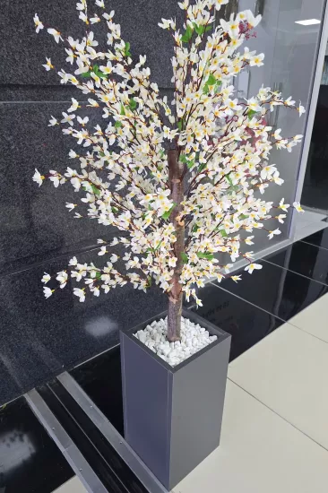 Beyaz Sakura Çiçekli Dekoratif Saksı, 140cm