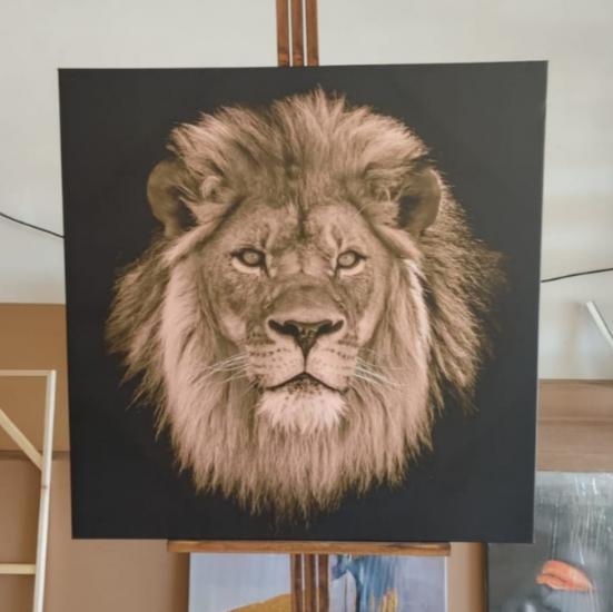 Lion - Laminasyonlu Kanvas Tablo