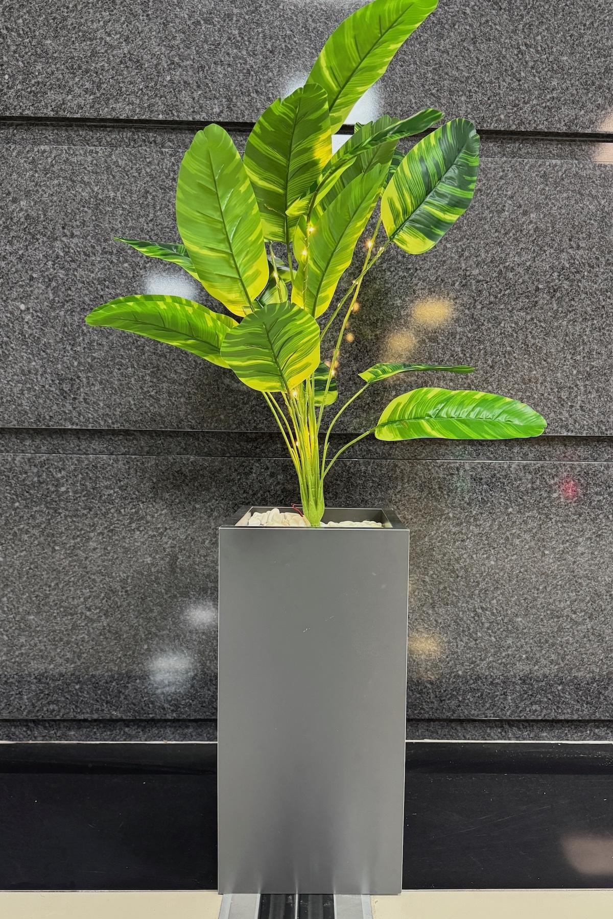 Starliçe%20Çiçekli,%20Led%20Işıklı,%20Koyu%20Gri%20Saksı%20115cm