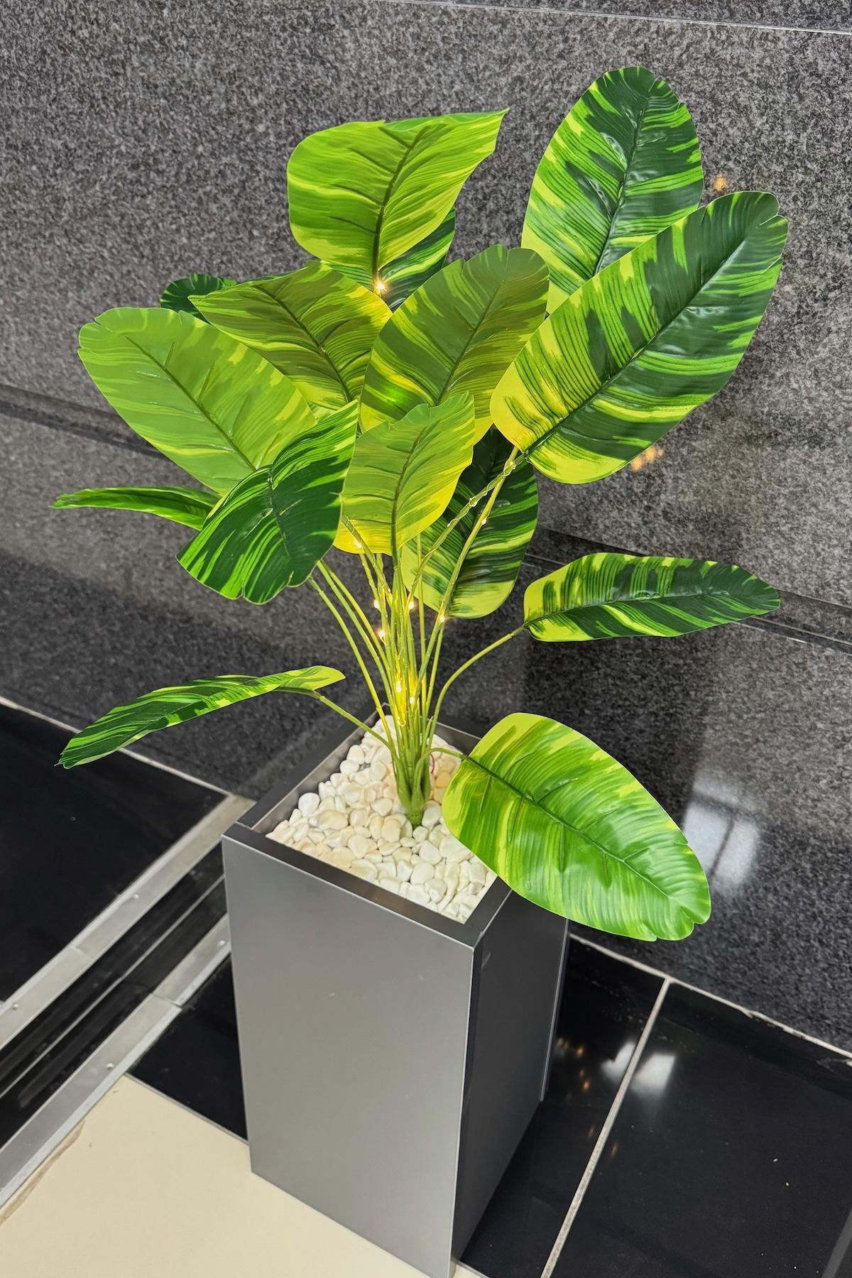 Starliçe%20Çiçekli,%20Led%20Işıklı,%20Koyu%20Gri%20Saksı%20115cm