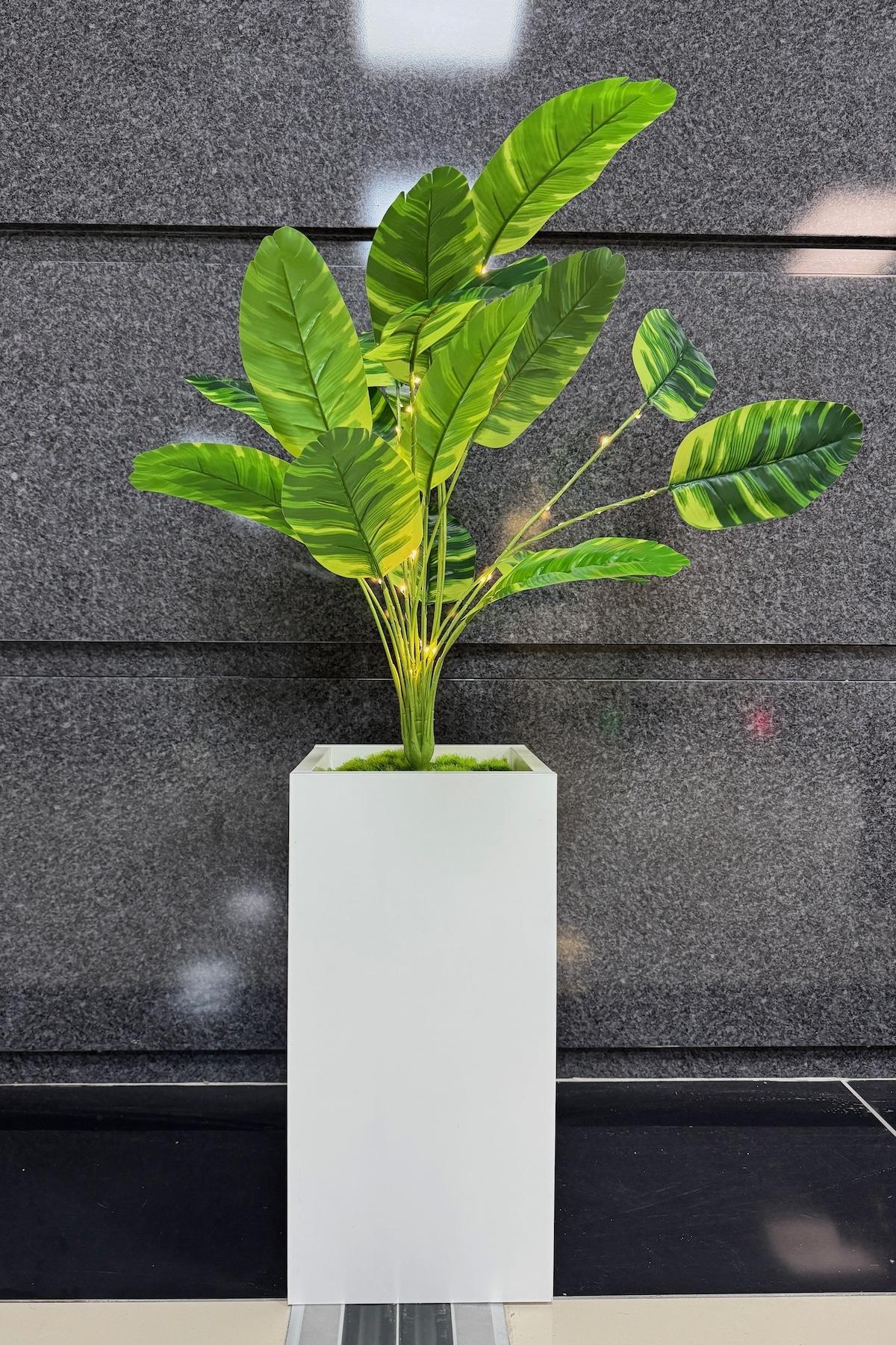 Starliçe%20Çiçekli,%20Led%20Işıklı,%20Beyaz%20Saksı%20115cm