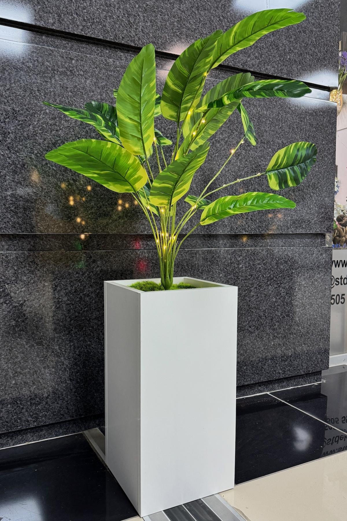 Starliçe%20Çiçekli,%20Led%20Işıklı,%20Beyaz%20Saksı%20115cm