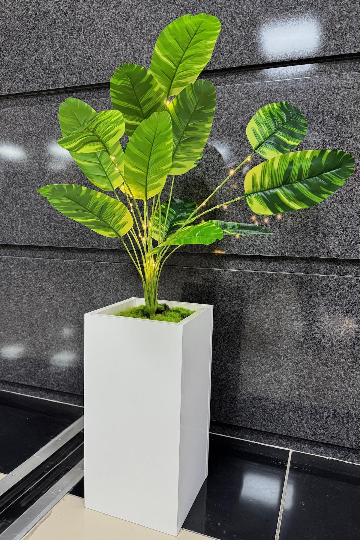 Starliçe%20Çiçekli,%20Led%20Işıklı,%20Beyaz%20Saksı%20115cm