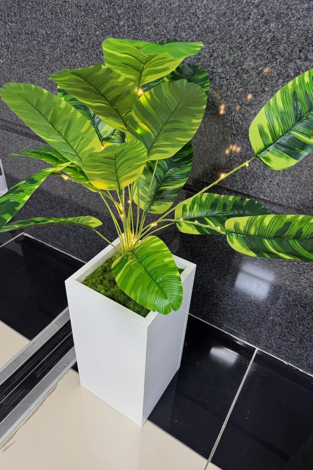 Starliçe%20Çiçekli,%20Led%20Işıklı,%20Beyaz%20Saksı%20115cm