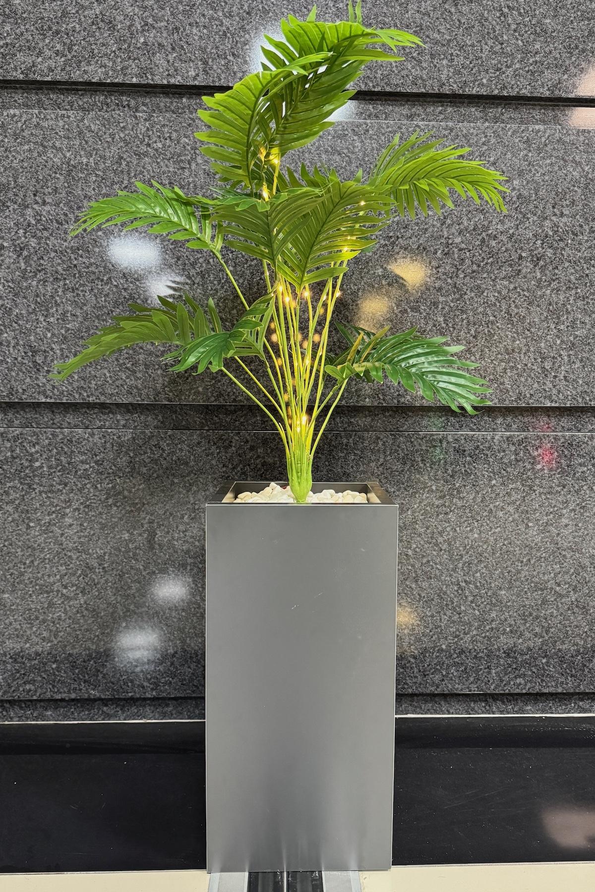 Areka%20Çiçekli,%20Led%20Işıklı,%20Koyu%20Gri%20Saksı%20115cm