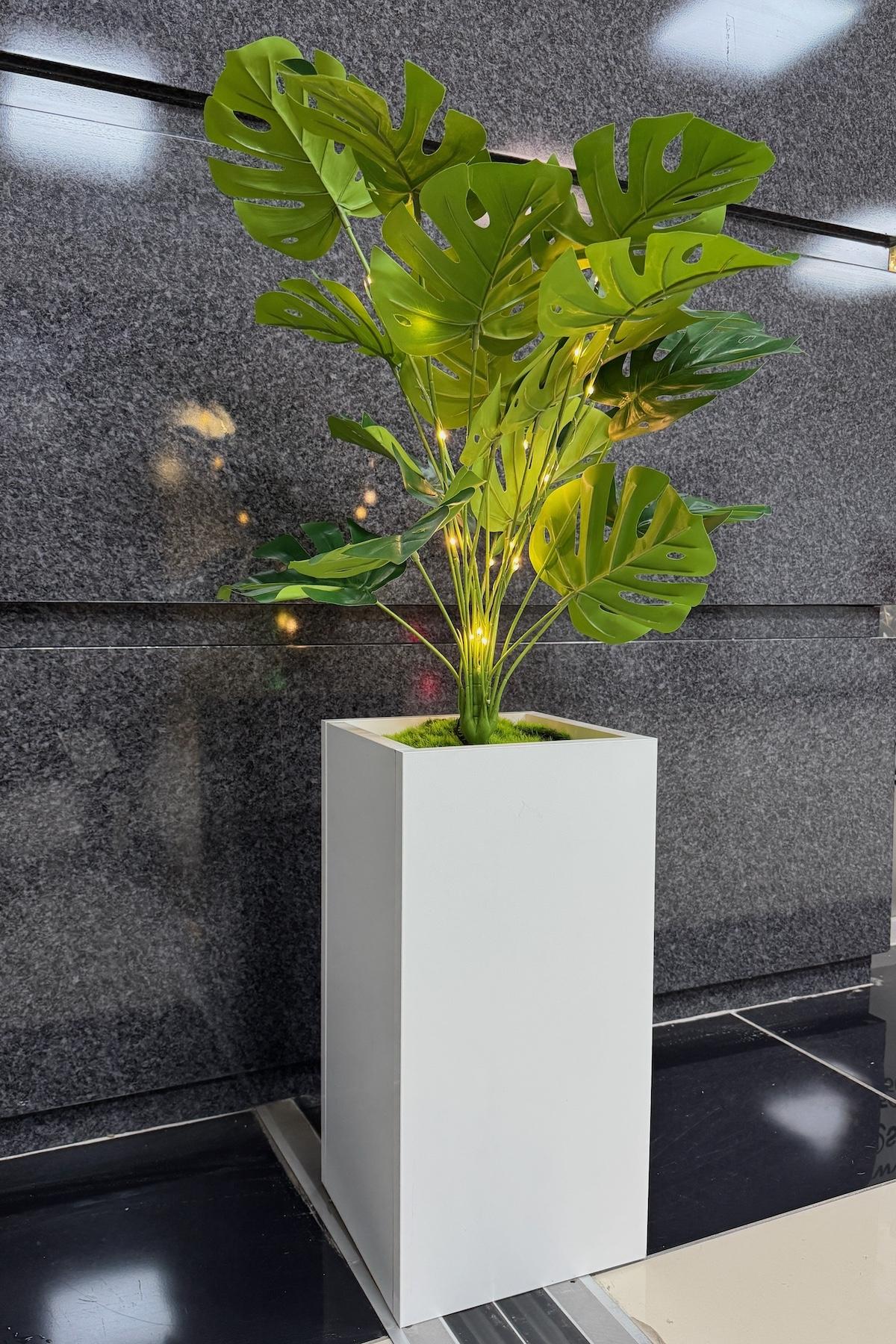 Devetabanı%20Çiçekli,%20Led%20Işıklı,%20Beyaz%20Saksı%20115cm