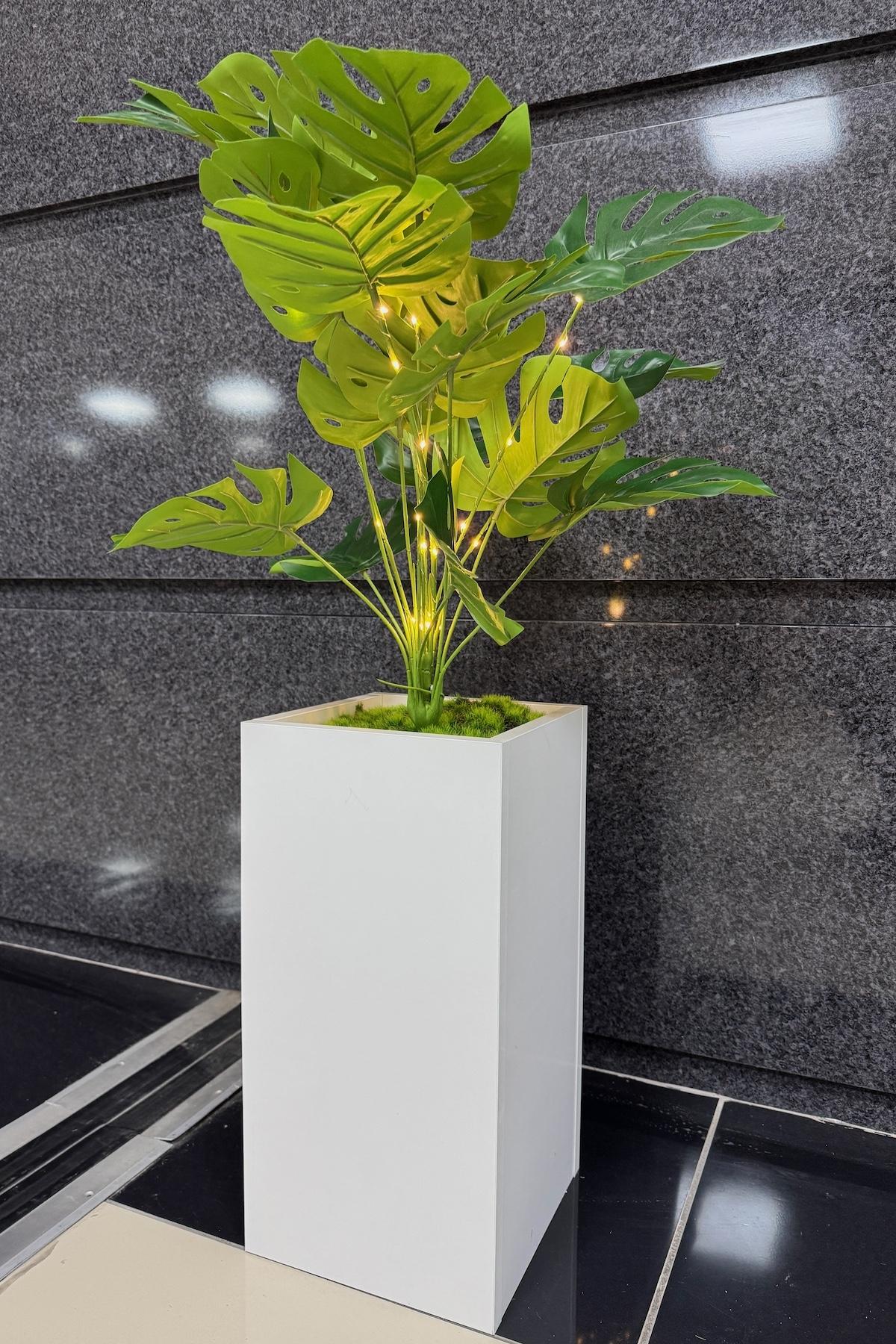 Devetabanı%20Çiçekli,%20Led%20Işıklı,%20Beyaz%20Saksı%20115cm