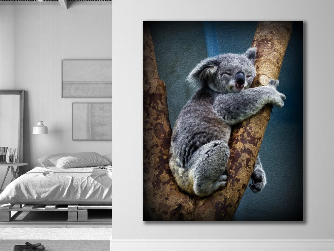 KOALA%20-%20Laminasyonlu%20Kanvas%20Tablo