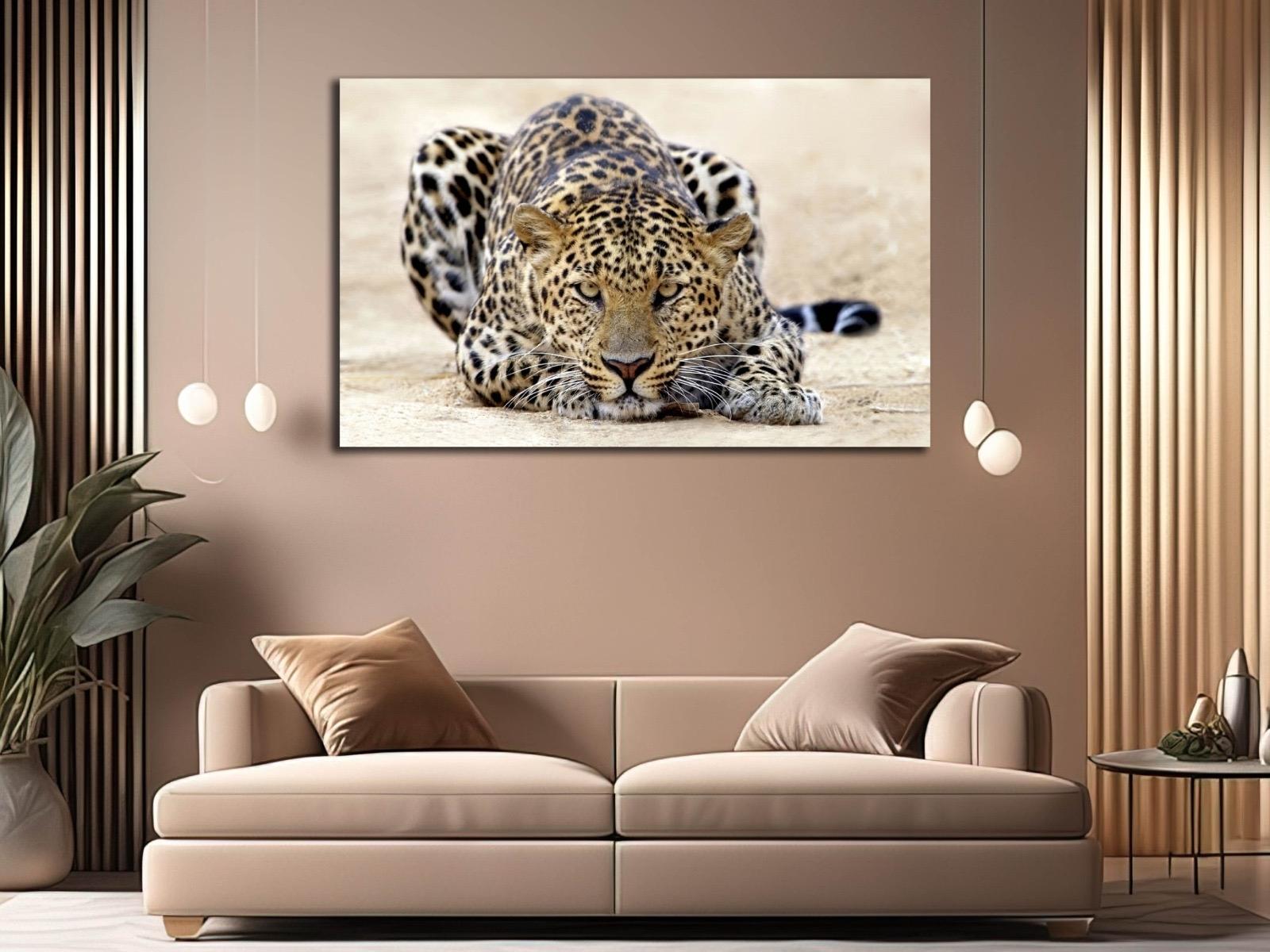 Çita%20-%20Laminasyonlu%20Kanvas%20Tablo