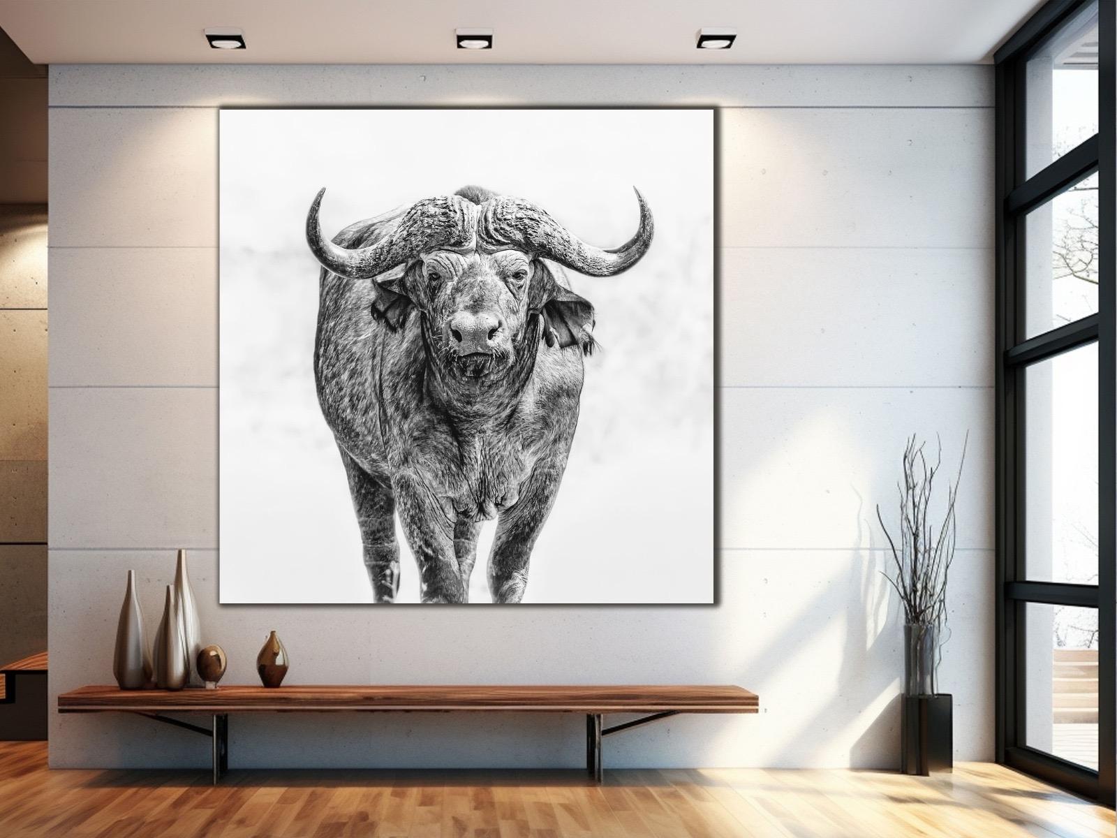 Bizon%20-%20Laminasyonlu%20Kanvas%20Tablo